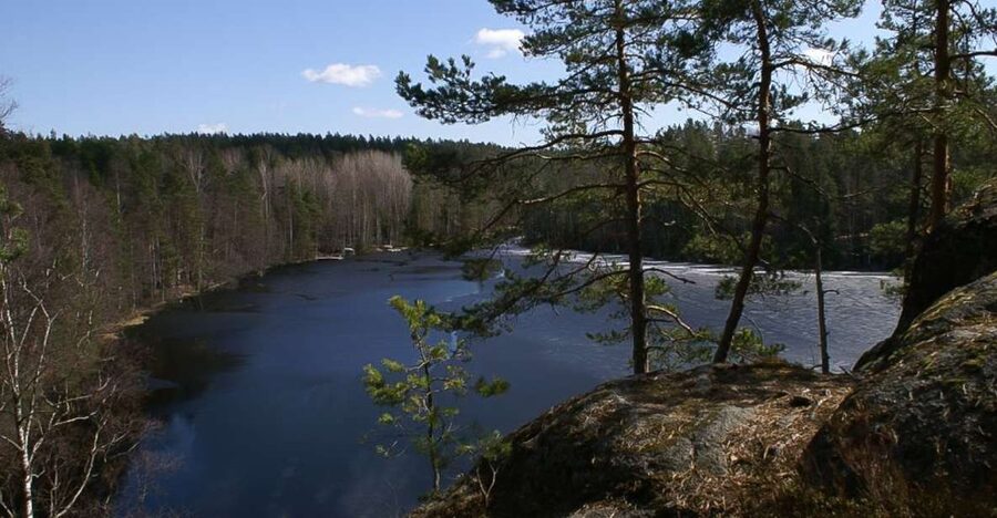 From Helsinki: Nuuksio National Park Half-Day Trip - A guided walk through spruce, rock, and moss