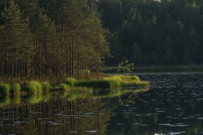 Nuuksio National Park Half-Day Trip