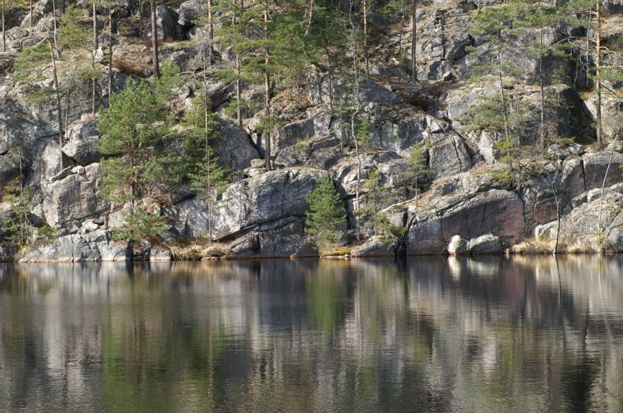 From Helsinki: Nuuksio National Park Half-Day Trip - What the $66 price really buys you