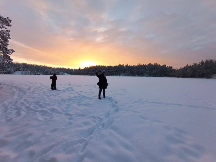 From Helsinki: Nuuksio National Park Hiking Tour with Food - Is $110 a fair price?