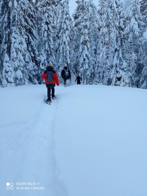 From Helsinki: Nuuksio National Park Hiking Tour with Food - Who should book this half-day outing?