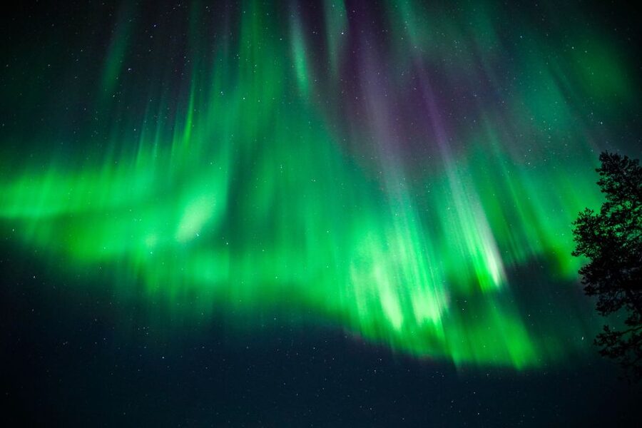 From Rovaniemi: Family-Friendly Northern Lights Tour - What happens if the aurora does not appear?