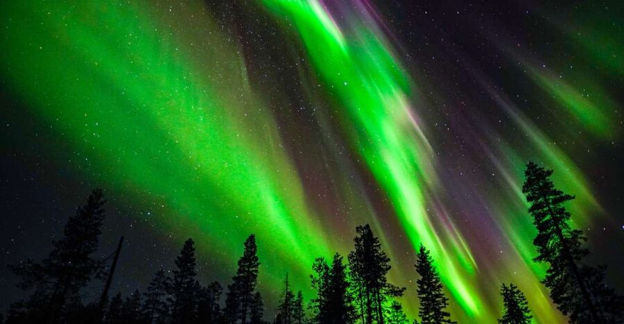 From Rovaniemi: Family-Friendly Northern Lights Tour - Who should book this Rovaniemi outing?