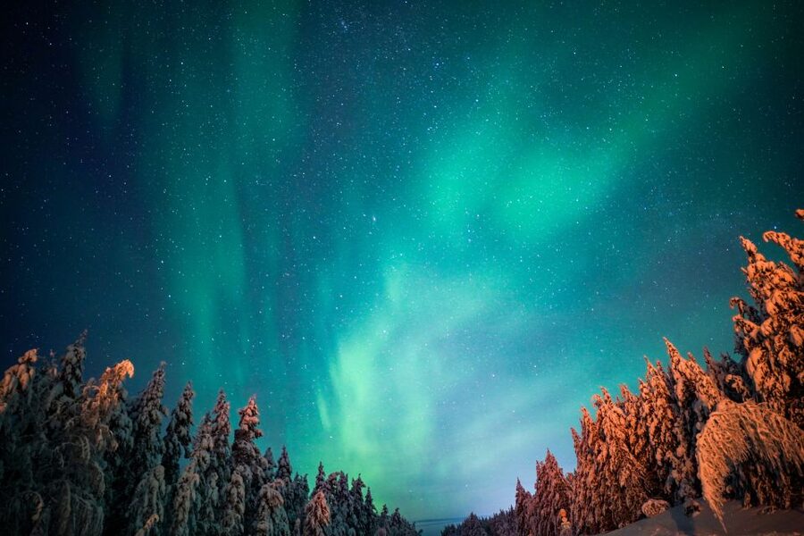 From Rovaniemi: Family-Friendly Northern Lights Tour - A private viewing place, not a nonstop chase