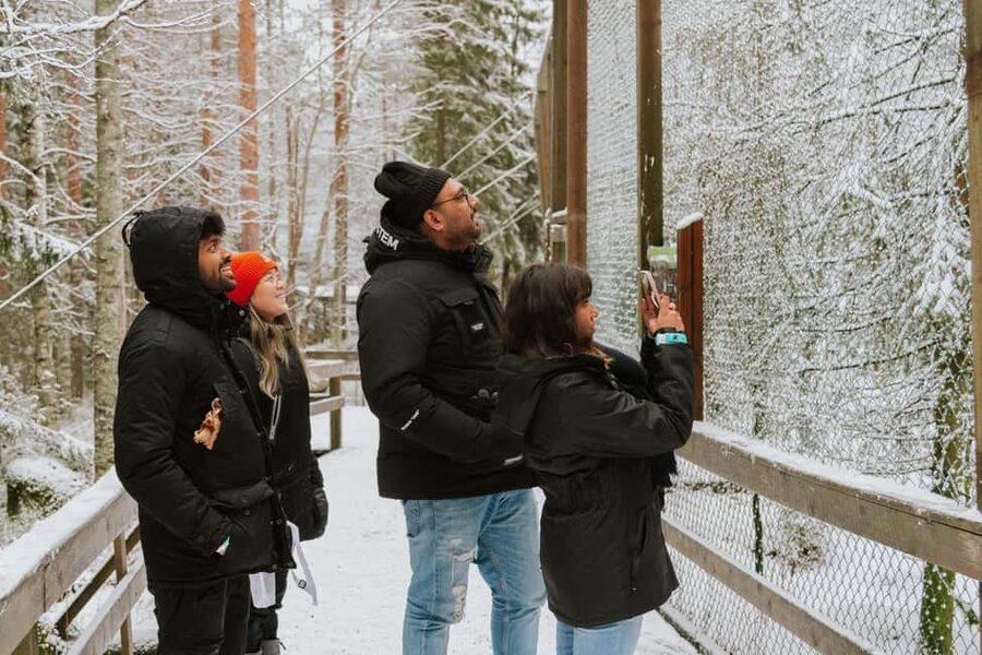 From Rovaniemi: Family Friendly Visit to Ranua Wildlife Park - Why Ranua makes sense from Rovaniemi