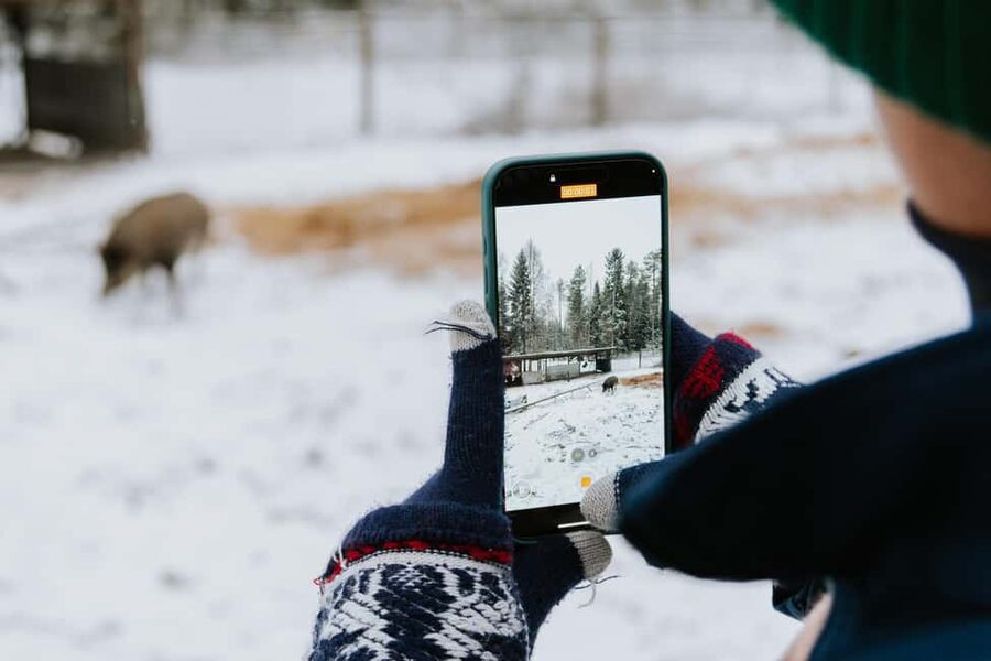 From Rovaniemi: Family Friendly Visit to Ranua Wildlife Park - Walking the park’s winding paths