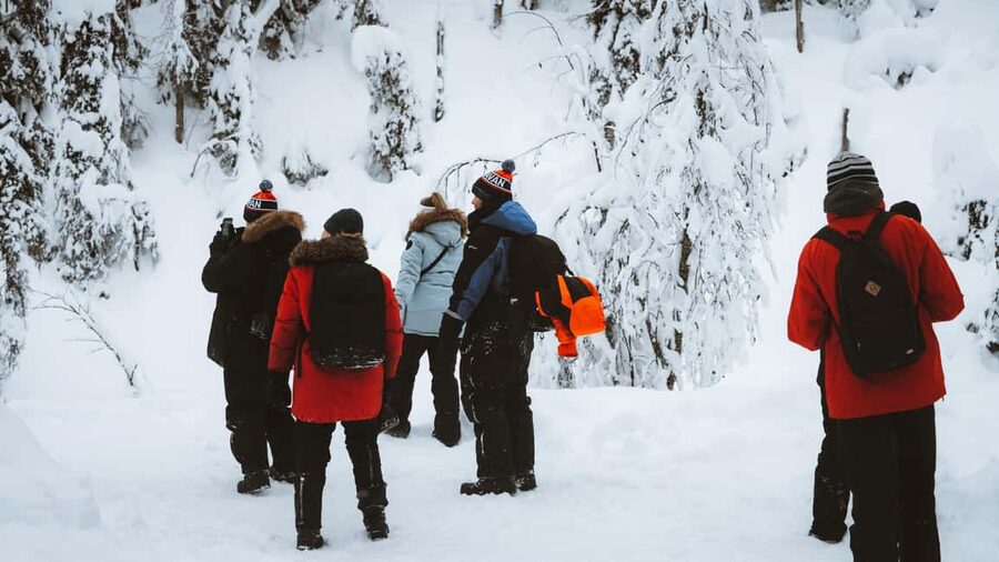 From Rovaniemi: Korouoma & Auttiköngäs Frozen Waterfalls - The campfire meal is part of the experience