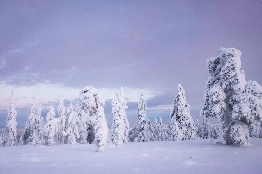 From Rovaniemi: Korouoma Canyon and Frozen Waterfalls Tour - Key points to know before booking