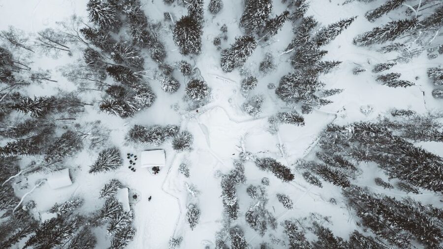 From Rovaniemi: Korouoma Canyon and Frozen Waterfalls Tour - A 5-kilometer trail with real winter footing