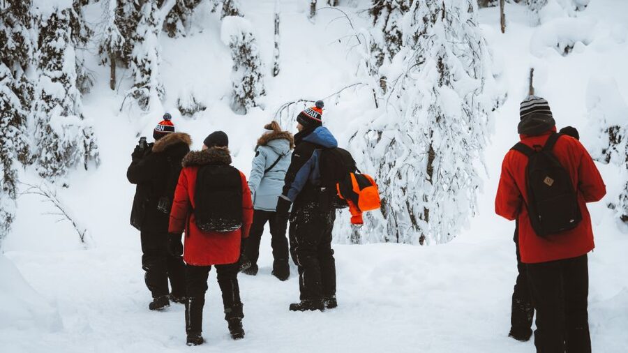 From Rovaniemi: Korouoma Canyon and Frozen Waterfalls Tour - Frozen cliffs, rapids, and forest details