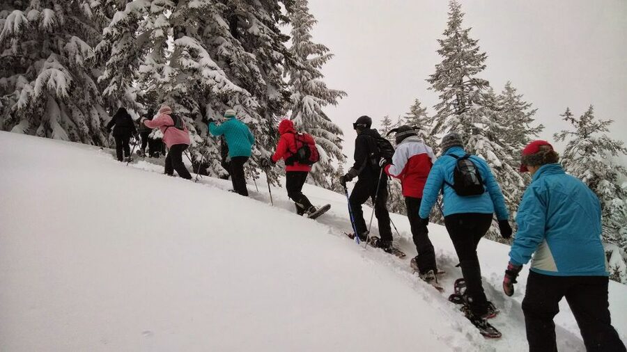 From Rovaniemi: Korouoma Frozen Waterfalls Small-Group Hike - Key points to know before you book