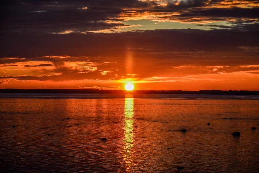 From Rovaniemi: Midnight Sun Forest Lake Float - Floating beneath Finland’s endless summer light