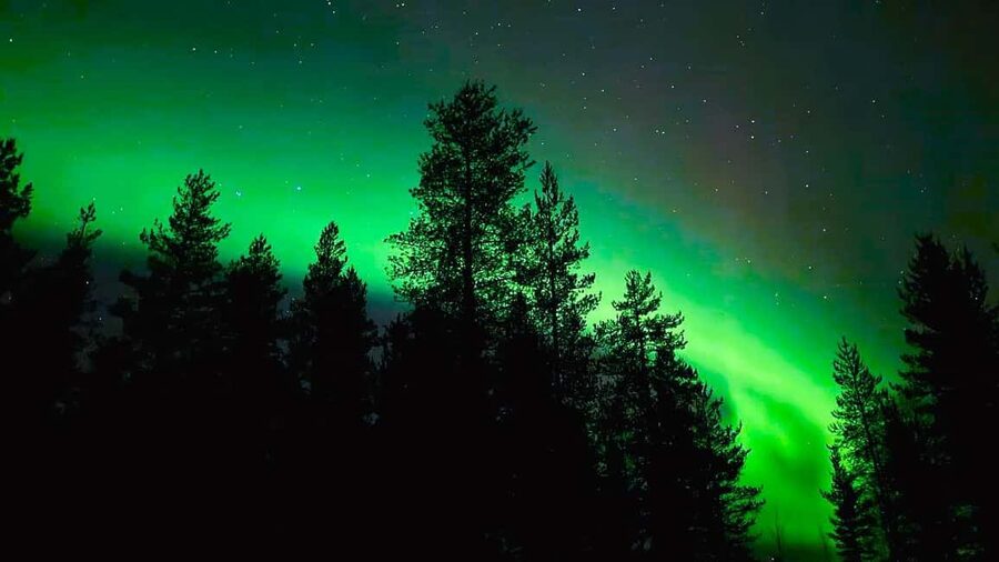 From Rovaniemi: Night Tour in Search of the Aurora with BBQ - Photo help from Daria, Anna, and the guide team
