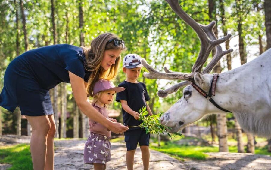 From Rovaniemi: Reindeer Farm Visit with Sleigh Ride - Stories inside a Lappish kota hut