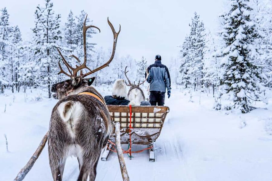 From Rovaniemi: Reindeer Farm Visit with Sleigh Ride - Is $129 a fair price?