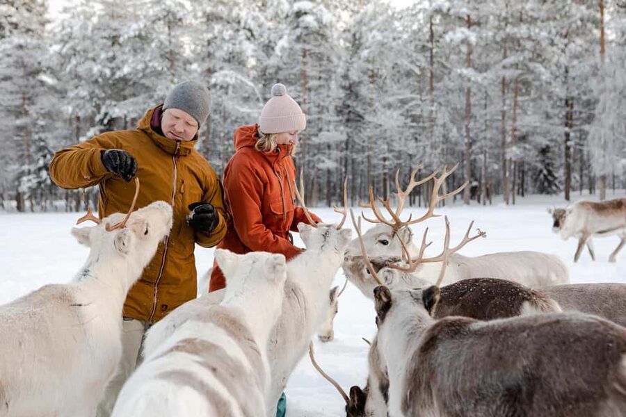 From Rovaniemi: Reindeer Farm Visit with Sleigh Ride - How to dress for a short outdoor program