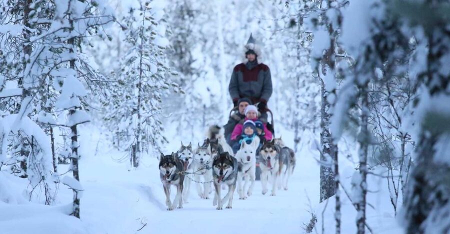 From Rovaniemi: Self-Driven 10km Husky Sled Ride - Meeting the huskies before and after the ride