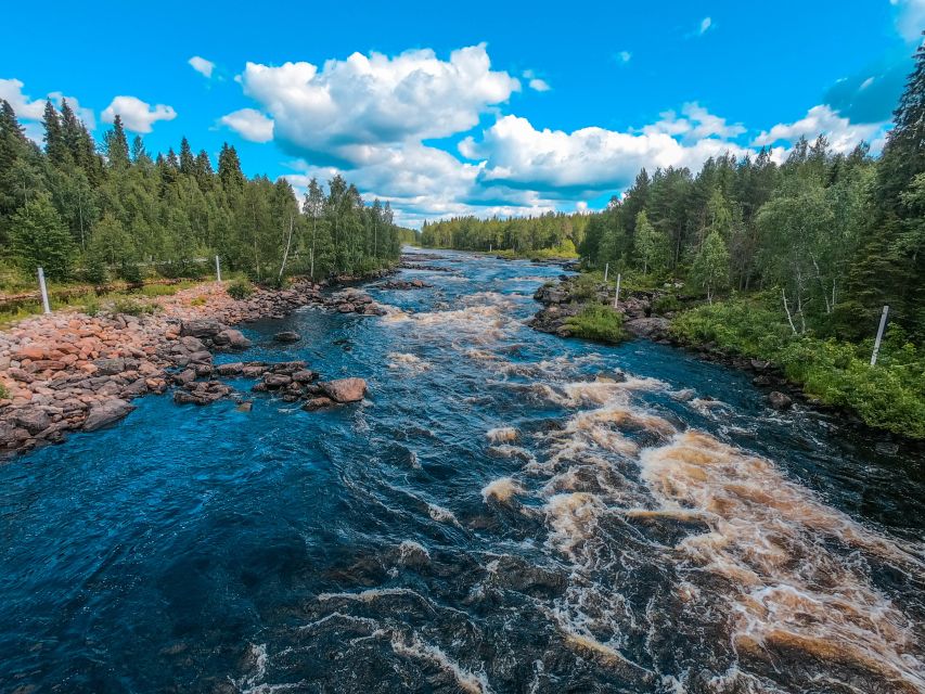 From Rovaniemi: Vikaköngäs Forest Hiking Tour - Key points to know before booking