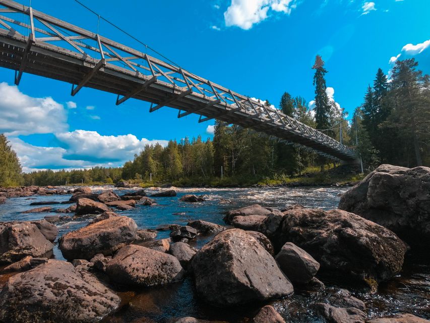 From Rovaniemi: Vikaköngäs Forest Hiking Tour - Leaving Rovaniemi for the Vikaköngäs forests