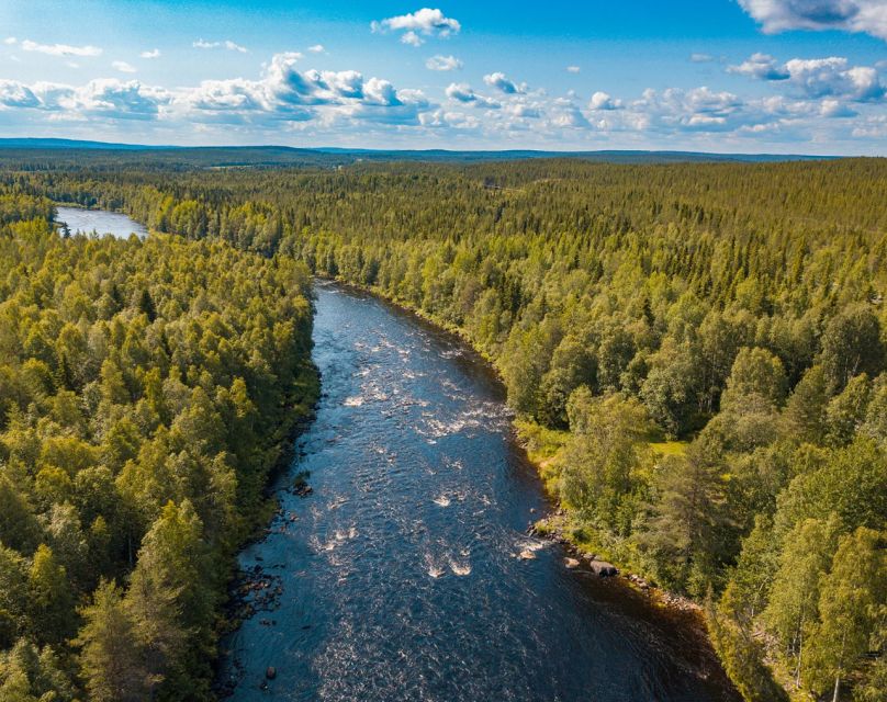 From Rovaniemi: Vikaköngäs Forest Hiking Tour - The kota stop and blueberry drink