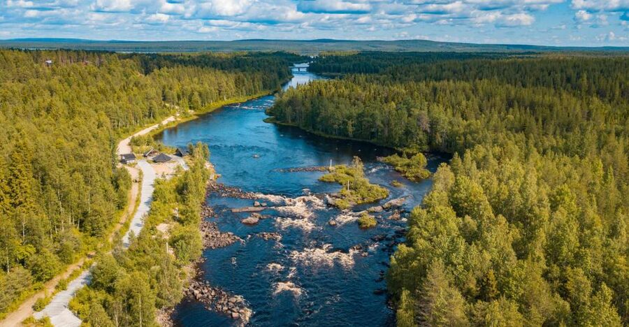 From Rovaniemi: Vikaköngäs Forest Hiking Tour - A 1 to 2 kilometer walk through northern nature