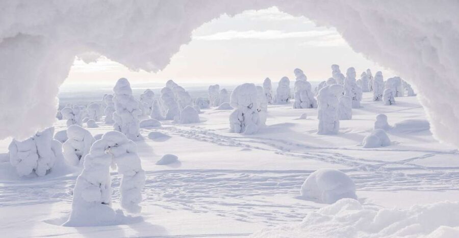 From Rovaniemi: Winter Wonderland Hike with a Hot Drink - Key points to know before booking