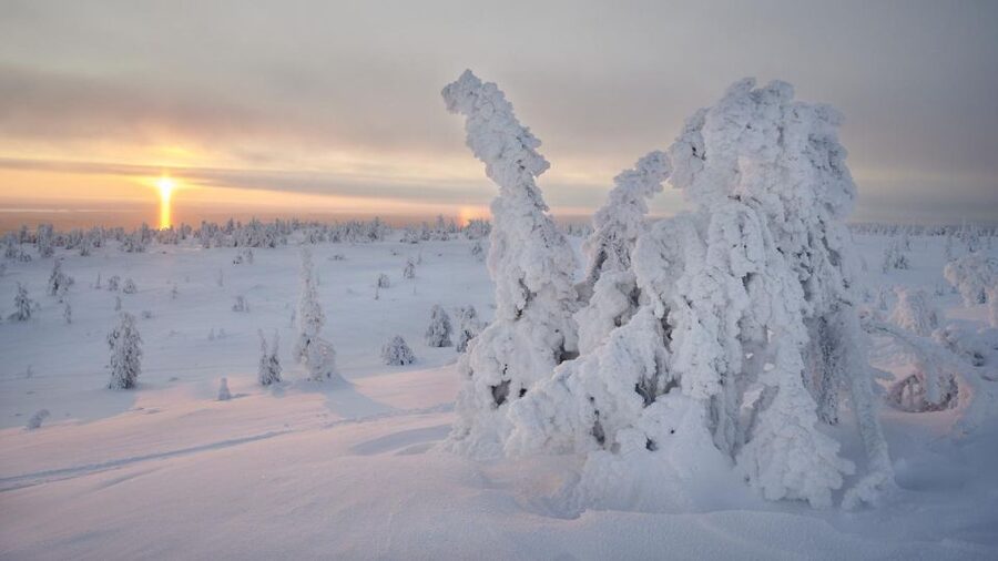 From Rovaniemi: Winter Wonderland Hike with a Hot Drink - Clothing is not a minor detail