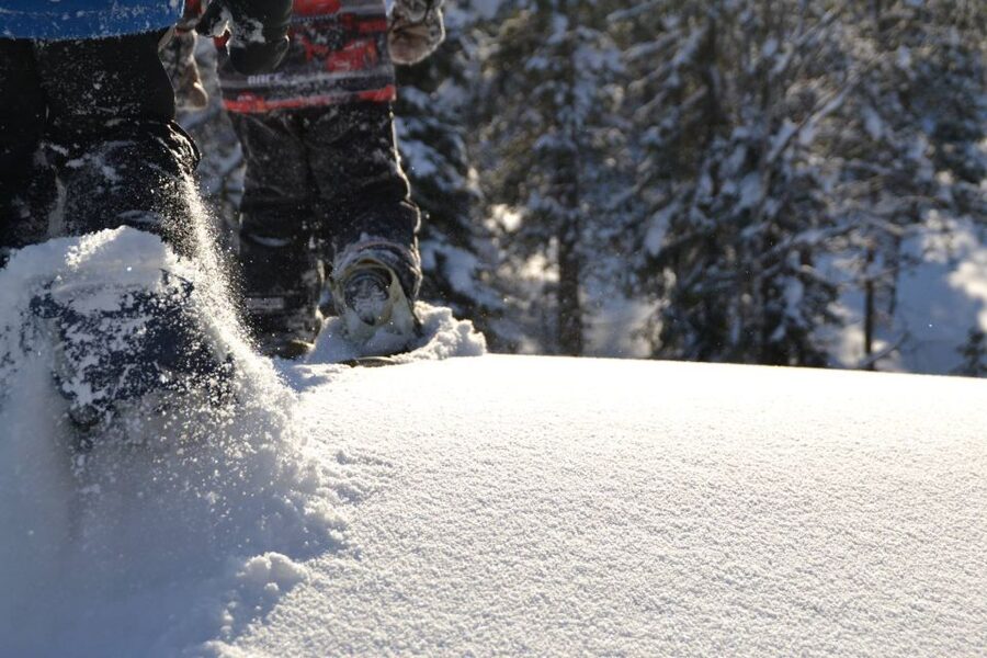 From Ruka: Snowshoeing in Oulanka National Park - Key points