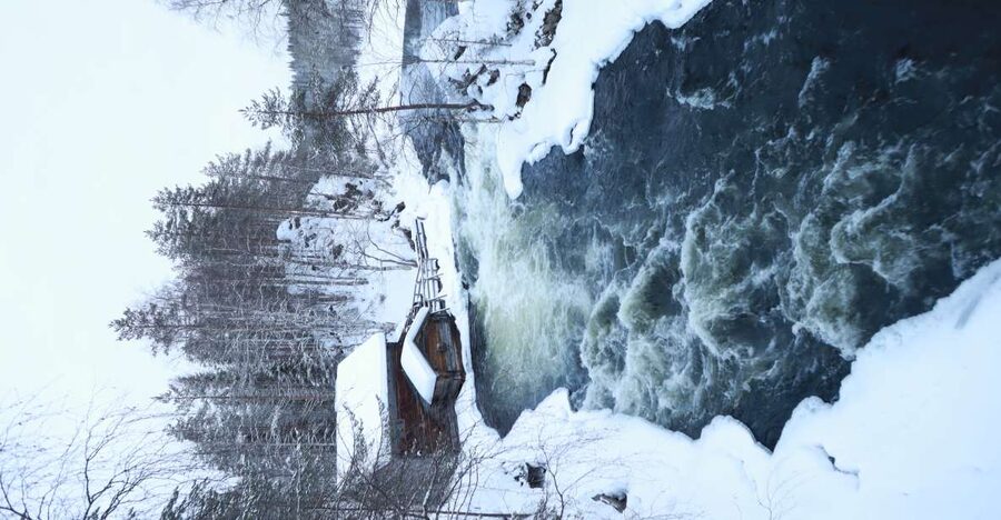 From Ruka: Snowshoeing in Oulanka National Park - Looking for the white-throated dipper