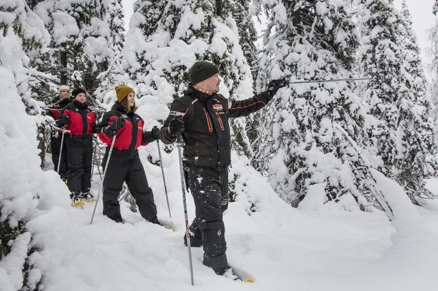 From Ruka: Snowshoeing in Oulanka National Park - Who should book this Oulanka outing?