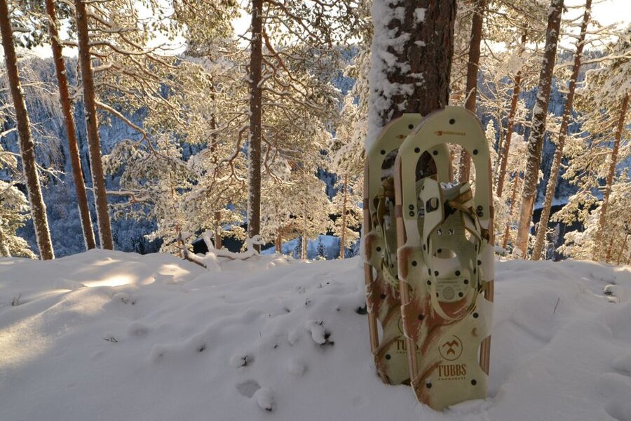 From Ruka: Snowshoeing in Riisitunturi National park - Key points to know before you book