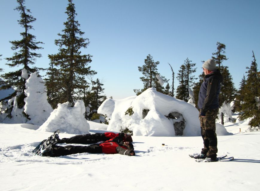 From Ruka: Snowshoeing in Riisitunturi National park - Why Riisitunturi makes a good snowshoe day