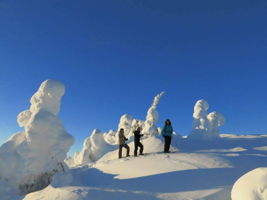From Ruka: Snowshoeing in Riisitunturi National park - Getting used to snowshoes before the climb