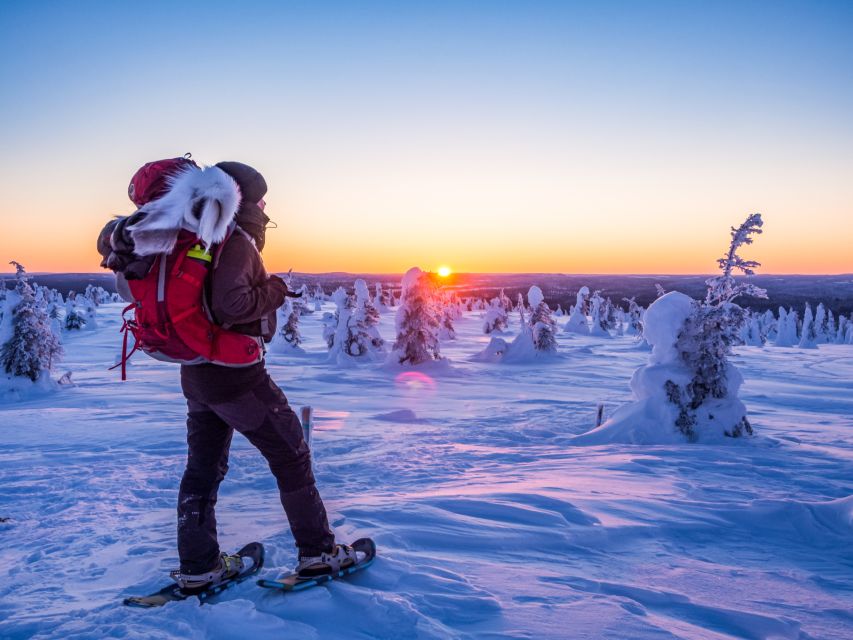 From Ruka: Snowshoeing in Riisitunturi National park - Who will enjoy this most