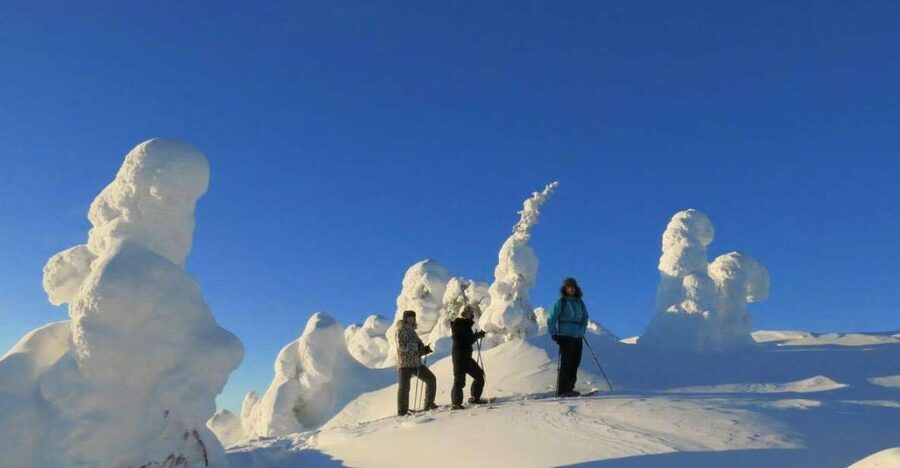 From Ruka: Snowshoeing in Riisitunturi National park - From Ruka to the trailhead in about 30 minutes