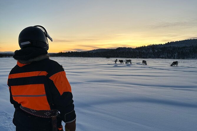 From Saariselkä: Ice Fishing Tour to Lake Inari, reindeers &lunch - Is the $215.54 price fair?