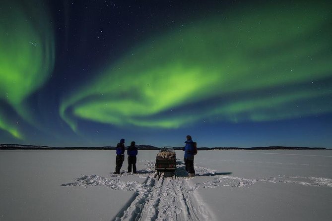 From Saariselkä: Northern lights tour to Lake Inari, incl. dinner - Key points at a glance