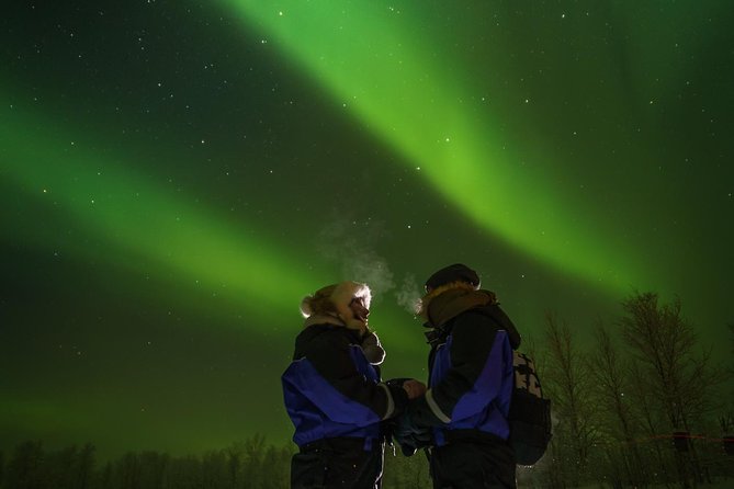 From Saariselkä: Northern lights tour to Lake Inari, incl. dinner - Feeding reindeer after dark