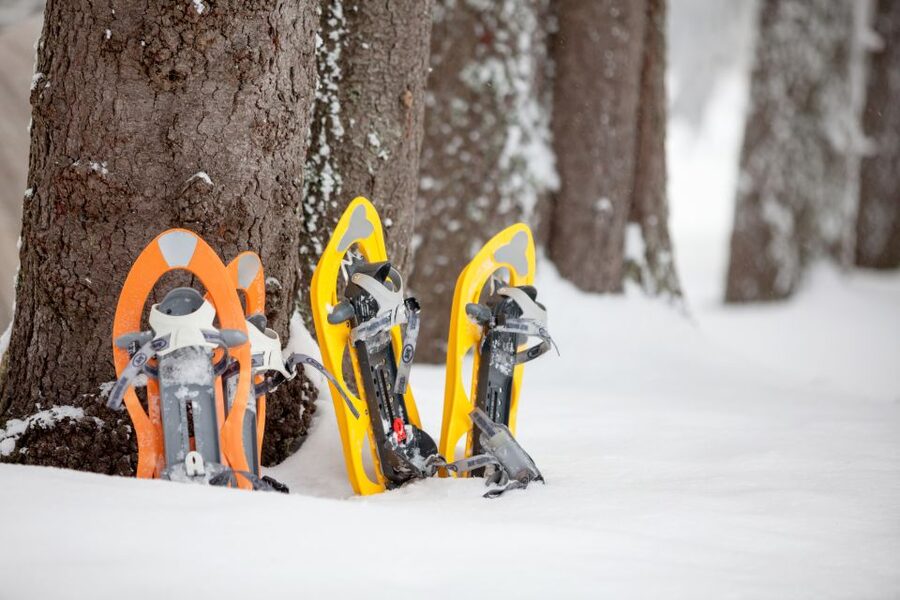 From Sirkka: Levi Summit Guided Nature Snowshoeing Tour - Key points to know before booking
