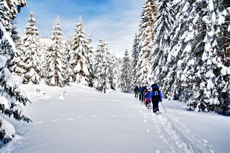 From Sirkka: Levi Summit Guided Nature Snowshoeing Tour - Why snowshoeing works well in Levi