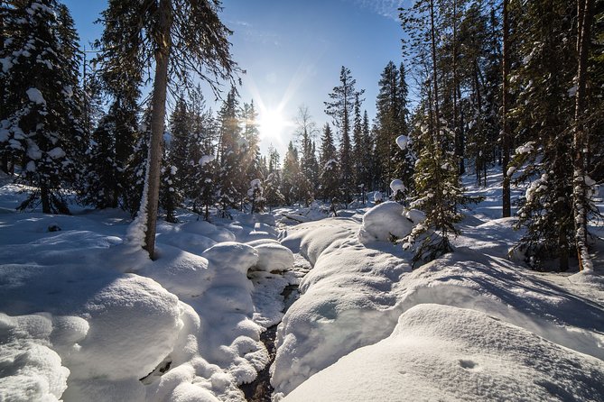 Frozen Waterfalls of Korouoma Canyon tour with Pro Photos & BBQ - The waterfalls and canyon viewpoint