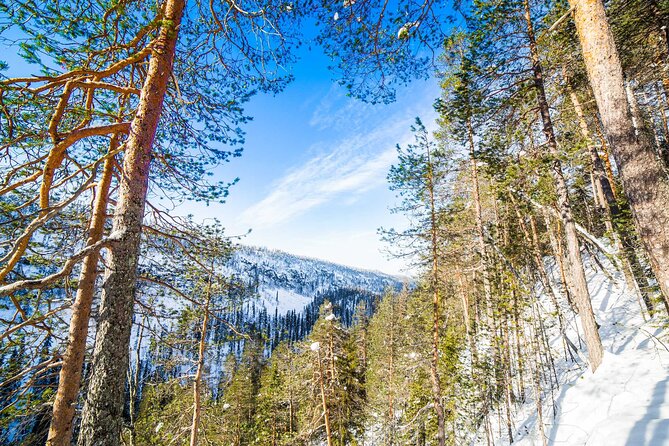 Frozen Waterfalls of Korouoma Canyon tour with Pro Photos & BBQ - A photographer who works while you hike