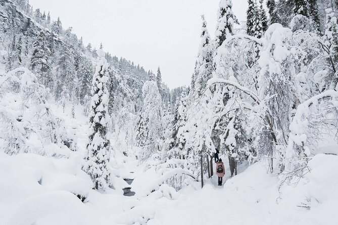 Frozen Waterfalls of Korouoma Canyon tour with Pro Photos & BBQ - BBQ lunch beside a winter fire