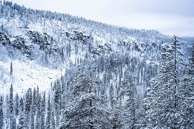 Frozen Waterfalls of Korouoma Canyon tour with Pro Photos & BBQ - Guides who make the difference