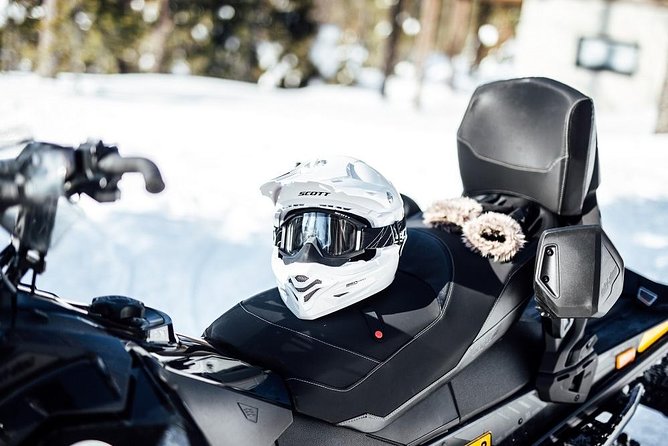 Full Day Snowmobile Safari - Riding beyond Rovaniemi into the Arctic forest