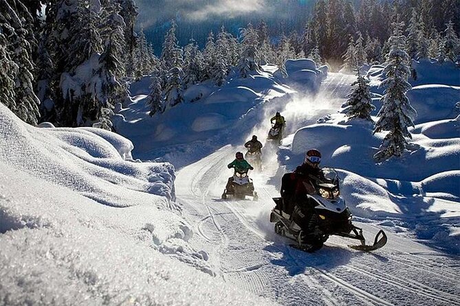 Full Day Snowmobile Safari - Guides, pace, and the learning curve