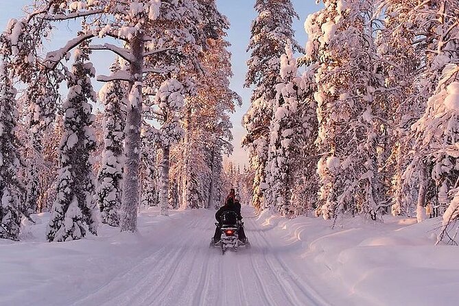 Full Day Snowmobile Safari - Who should book this snowmobile safari?
