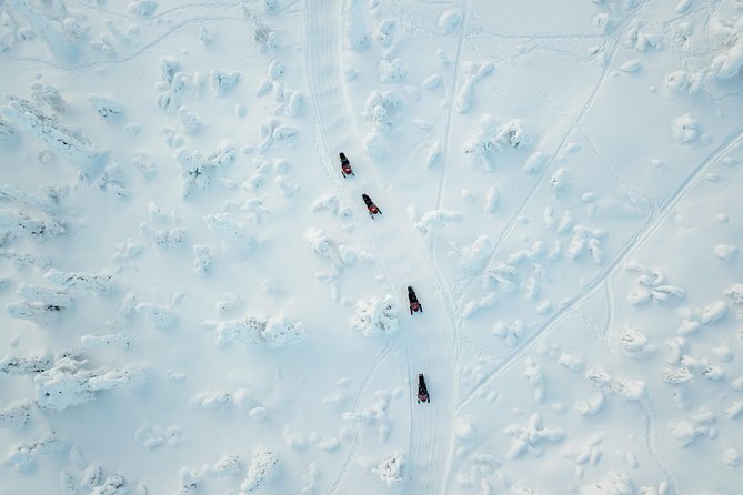 Full Day Snowmobile Safari into the Lappish Wilderness in Rovaniemi - Why this is more than a quick snowmobile ride