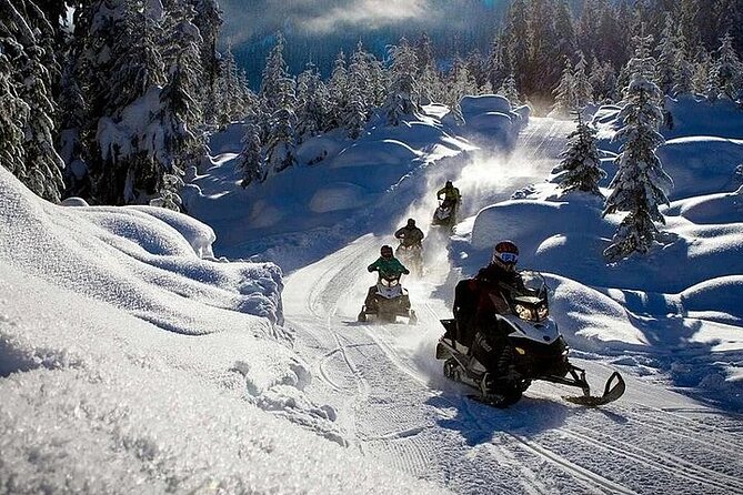 Full Day Snowmobile Safari - Sharing the snowmobile, a detail easy to miss