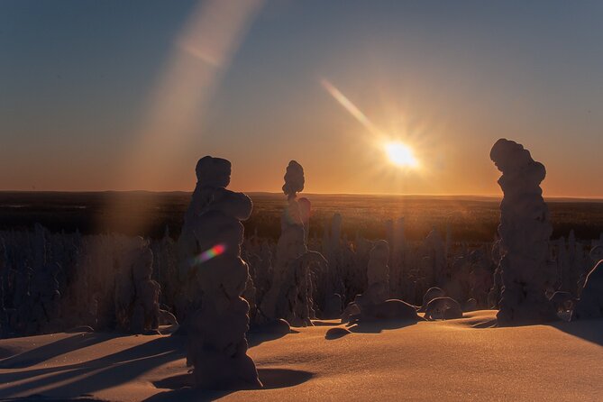 Full-Day Snowshoeing Adventure in Amethyst Mine Pyhä Luosto - Is the $250.17 price fair?